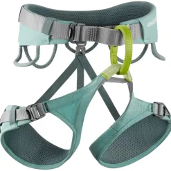 Baudrier Edelrid Jayne Dolphin