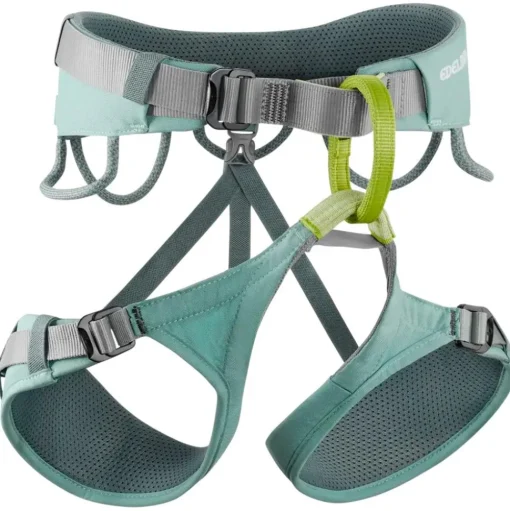 Baudrier Edelrid Jayne Dolphin