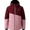 Blouson Ski DARE2B Snow Basher Jacket Fig Lilas