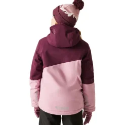 Blouson Ski DARE2B Snow Basher Jacket Fig Lilas