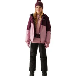 Blouson Ski DARE2B Snow Basher Jacket Fig Lilas