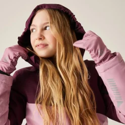 Blouson Ski DARE2B Snow Basher Jacket Fig Lilas