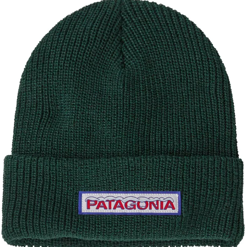 Bonnet Patagonia Kid's Logo Beanie Chill Conifer Green