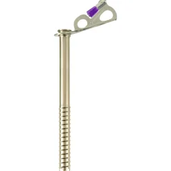 Broche à glace Black Diamond Express Ice Screw 22 cm