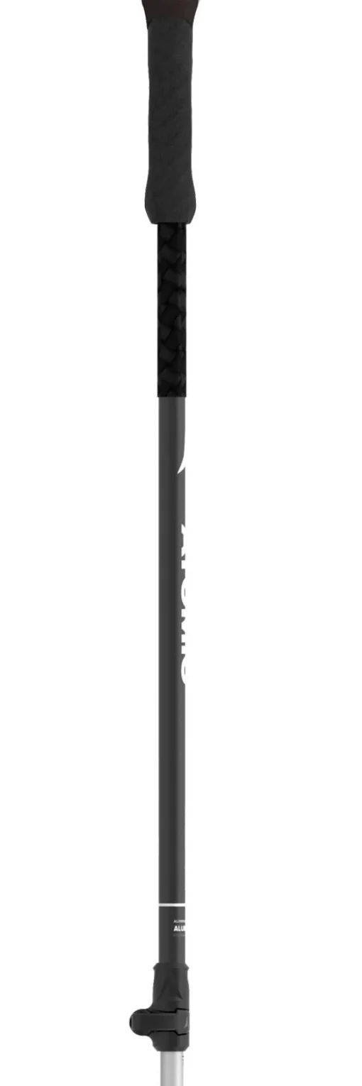 Bâton Atomic Bct Touring (110-135cm) Black Silver