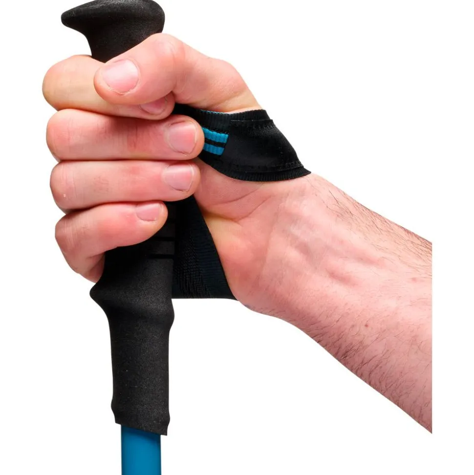 Bâton Black Diamond Distance Carbon Z Desert Sky