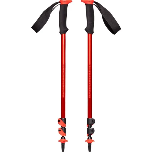 Bâton Black Diamond Trail Sport Octane