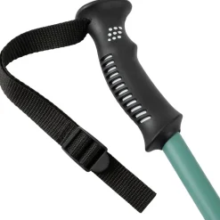 Bâton Lafuma Lautaret Pairs Forest Night