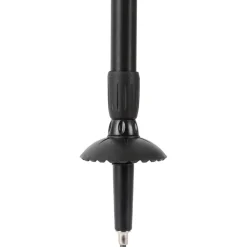 Bâton Lafuma Lautaret Pairs Forest Night