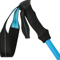 Bâton Lafuma Shift Pairs Blue Aster