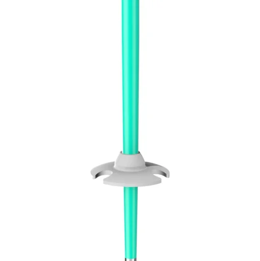 Bâton Scott Element Jr Mint Green