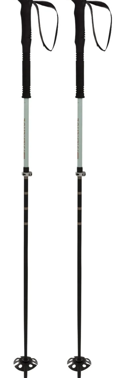 Bâton Volkl Touristick AA Adjust White