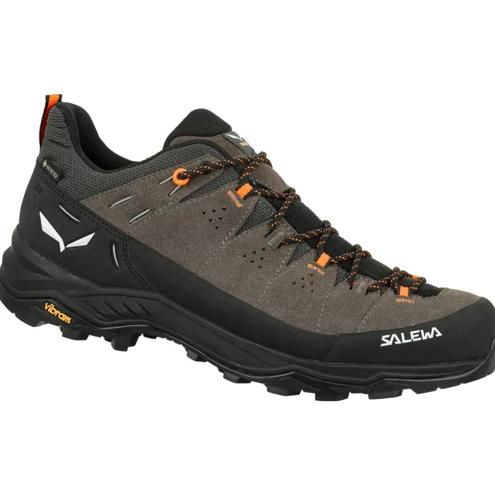 Chaussures d'approche Salewa Alp Trainer 2 Gore-Tex Bungee Cord Black