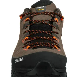 Chaussures d'approche Salewa Alp Trainer 2 Gore-Tex Bungee Cord Black