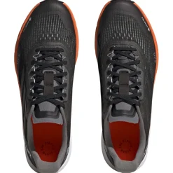 Chaussures de trail adidas Terrex Agravic Flow 2 Gore-Tex Core Black Impact Orange