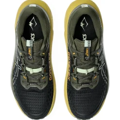 Chaussures de trail Asics Gel-Trabuco 13 Gore-Tex Black Whisper Green