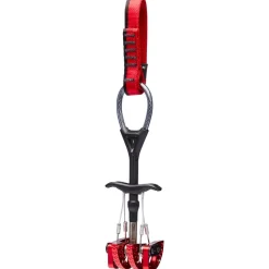 Coinceur Black Diamond Camalot C4 #1