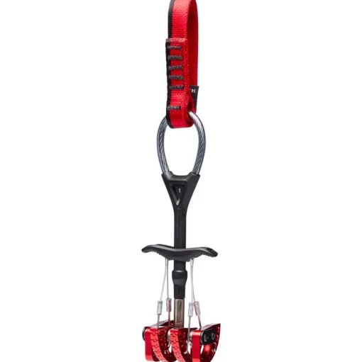 Coinceur Black Diamond Camalot C4 #1
