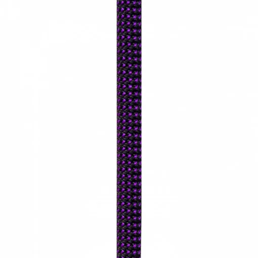 Corde Beal Joker 9.1mm Dry Cover Purple