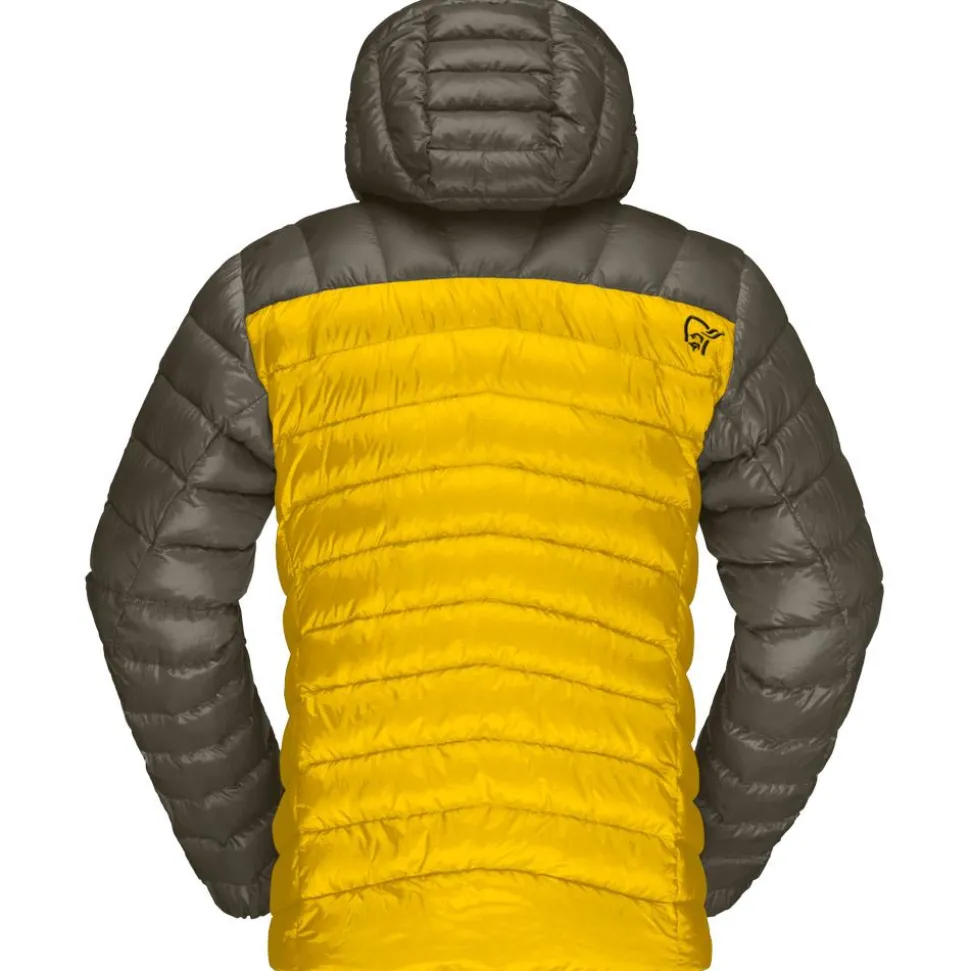 Doudoune Norrona Lyngen Down850 Hood Golden Palm
