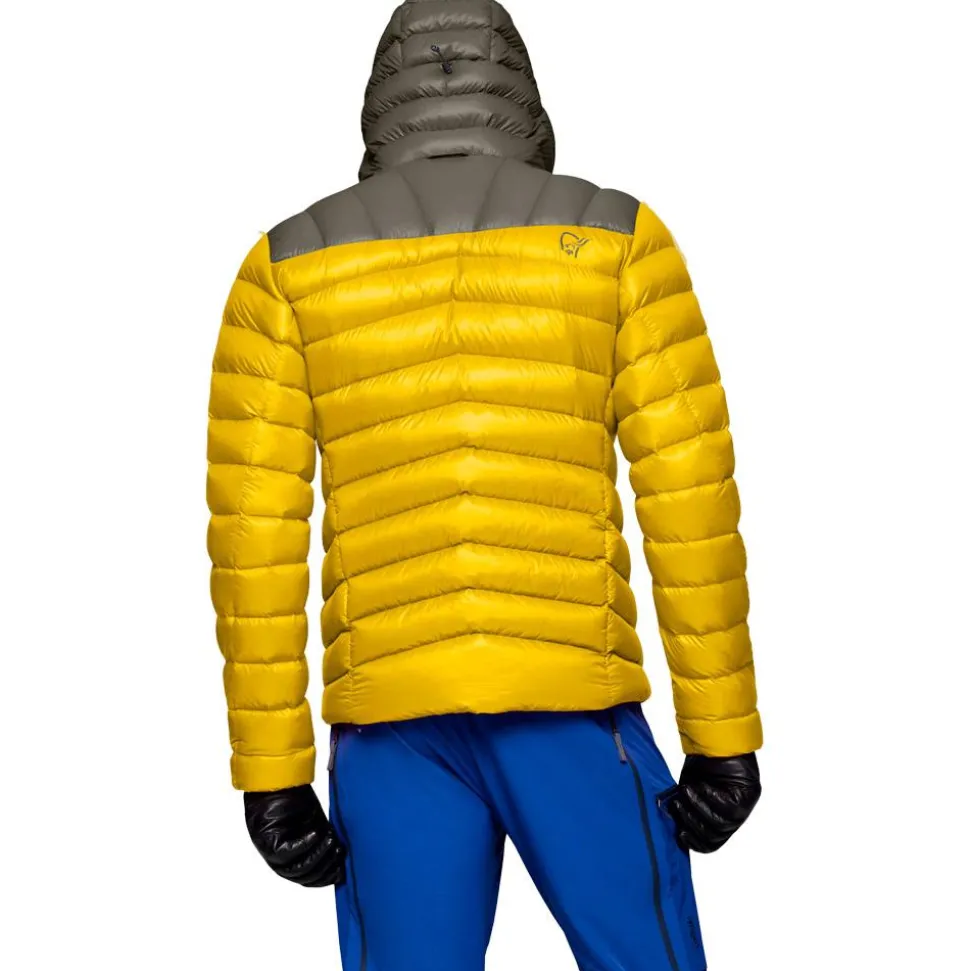 Doudoune Norrona Lyngen Down850 Hood Golden Palm