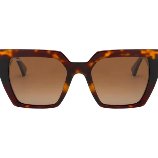 Lunettes de soleil Binocle Eyewear Victoria Shiny Tortoise Black Gradient Brown Polarized