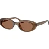 Lunettes de soleil Ray Ban RB4441D Matte Brown Opaline Dark Brown