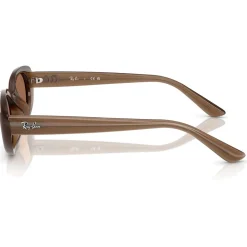 Lunettes de soleil Ray Ban RB4441D Matte Brown Opaline Dark Brown