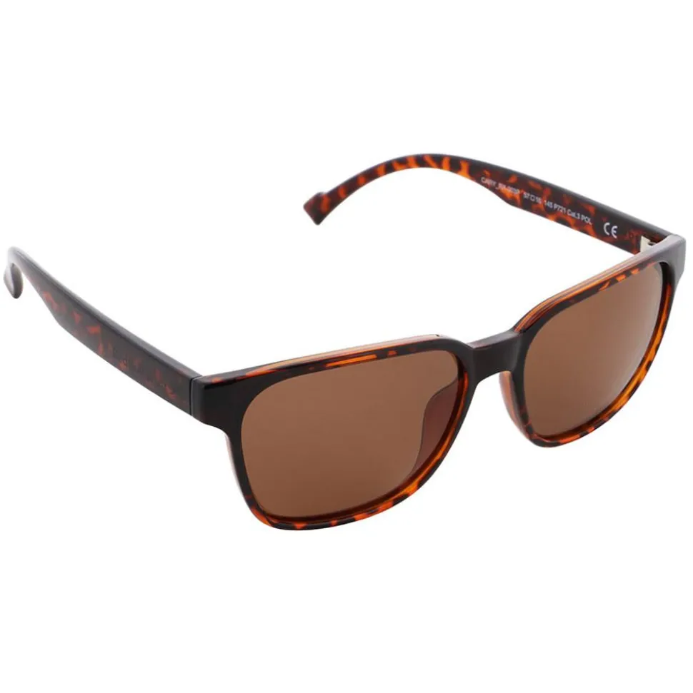 Lunettes de soleil Red Bull Spect Cary Shiny Havana Brown