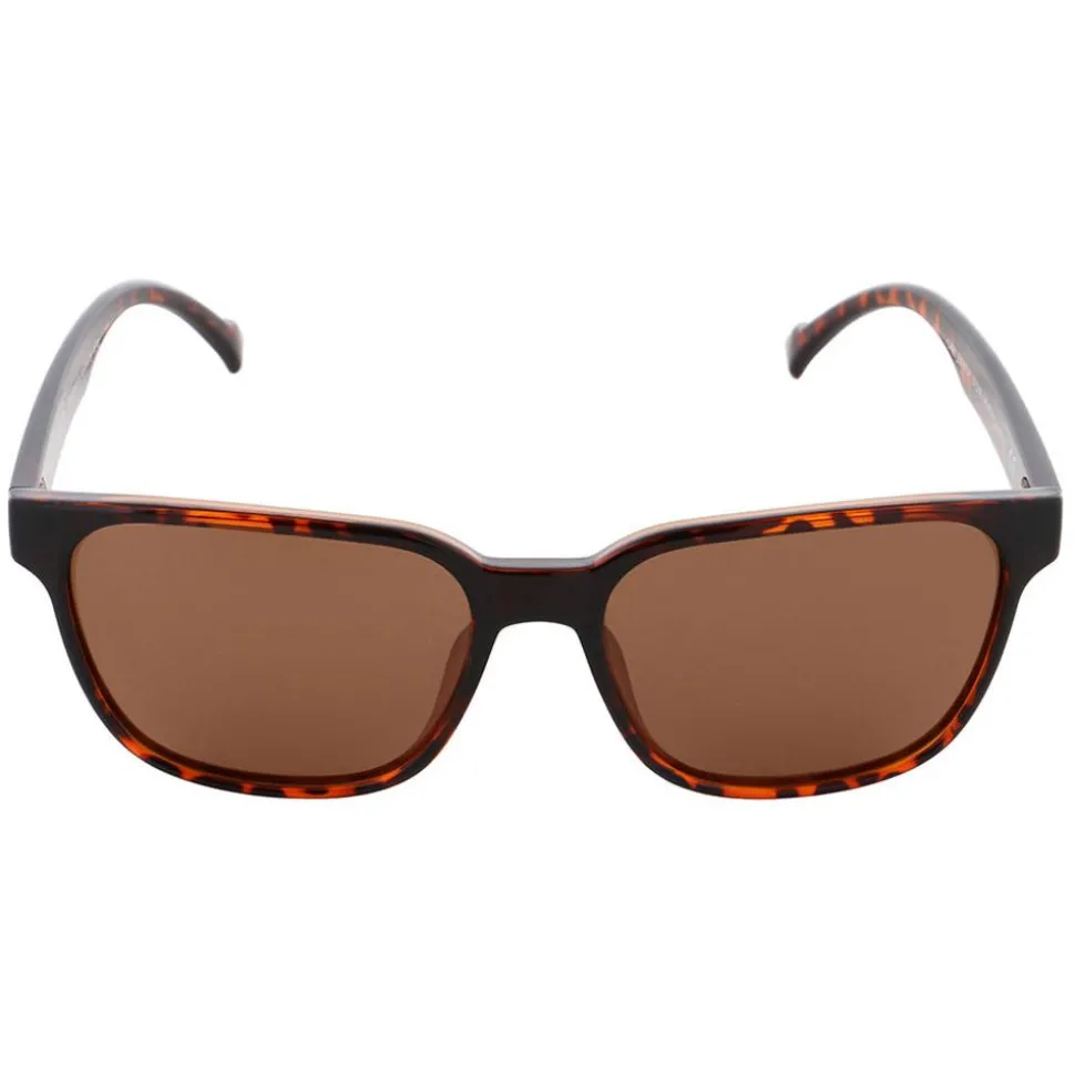 Lunettes de soleil Red Bull Spect Cary Shiny Havana Brown