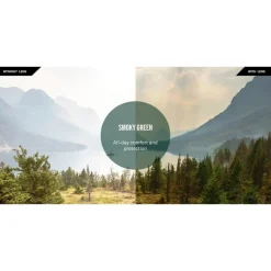 Lunettes de soleil Revo Ray Gold Crystal Smoke Green Polarized