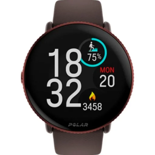 Montres GPS Polar Ignite 3 Brown Copper