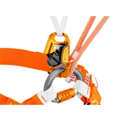 Mousqueton Petzl Omni Triact-Lock
