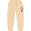 Pantalon Picture Cocoons Jog Pants Wood Ash