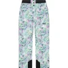 Pantalon Ski Picture Exa Printed Blurry Water Print