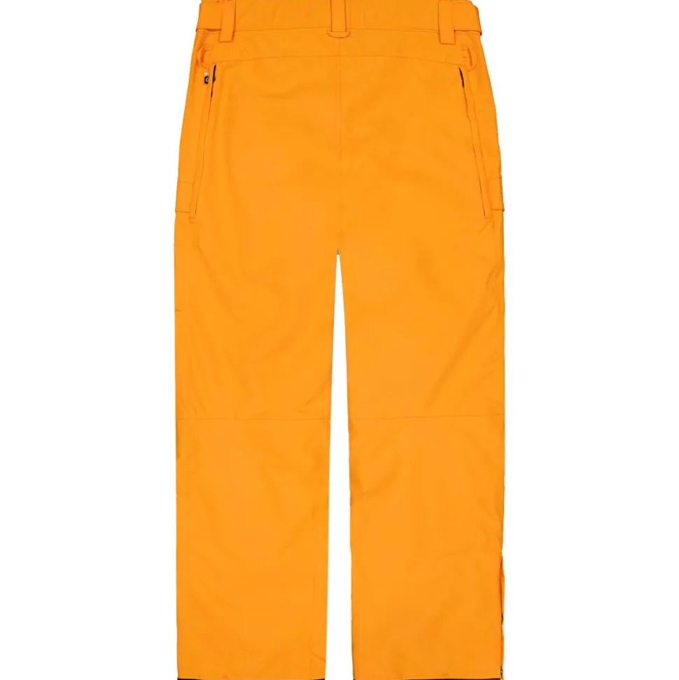 Pantalon Ski Picture Plan Carrot