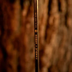 Planche Snowboard Arbor Candle Rain Camber