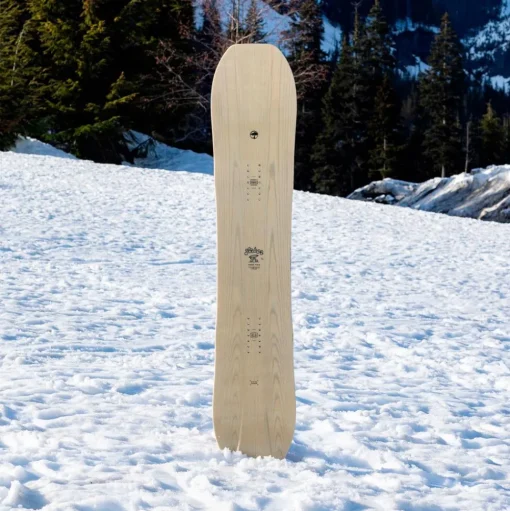 Planche Snowboard Arbor Terratwin Camber