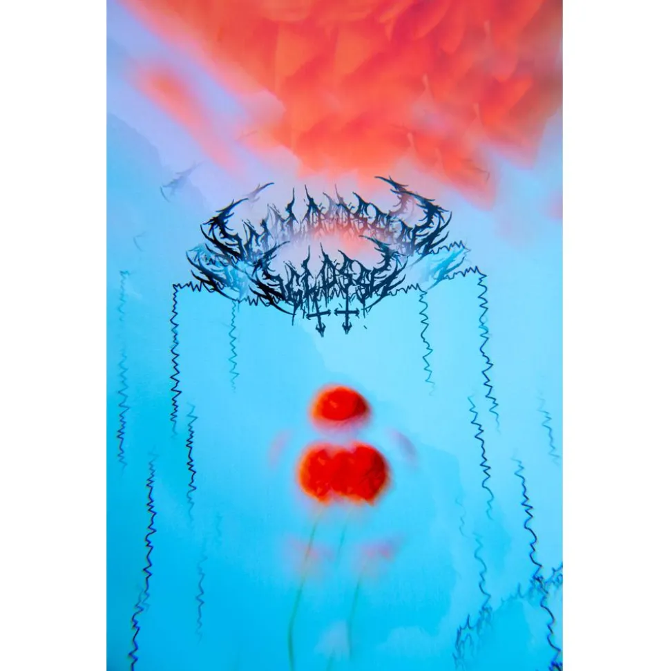 Planche Snowboard Gnu Gloss