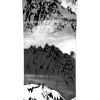 Planche Snowboard Verdad Winter Is Mine