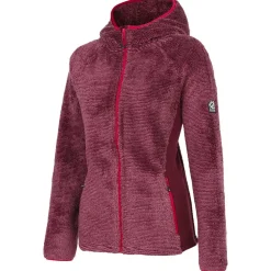 Polaire DARE2B Womens Pro Torrek Midlayer Fig