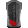 Protection dorsale Dainese Flexagon Waistcoat 2 Man Silver Filigree Castle Rock