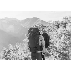 Sac à dos Gregory Baltoro 65 Alaska Blue