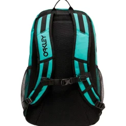 Sac à dos Oakley The Freshman Skate Backpack 20L Deep Amethyst