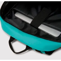 Sac à dos Oakley The Freshman Skate Backpack 20L Deep Amethyst