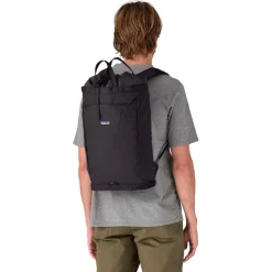 Sac à dos Patagonia Fieldsmith Linked Pack 25L Black