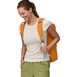 Sac à dos Patagonia Fieldsmith Linked Pack 25L Golden Caramel