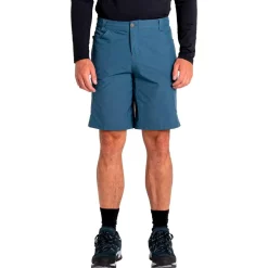 Short de rando DARE2B Tuned In II Short Orion Grey