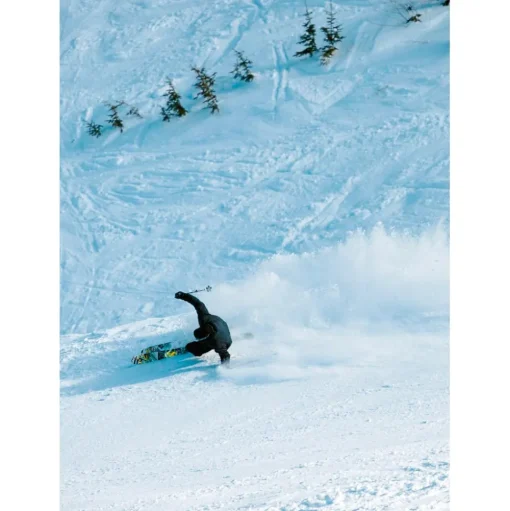Ski Line Bacon 108