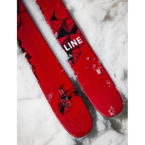 Ski Line Tom Wallisch Pro